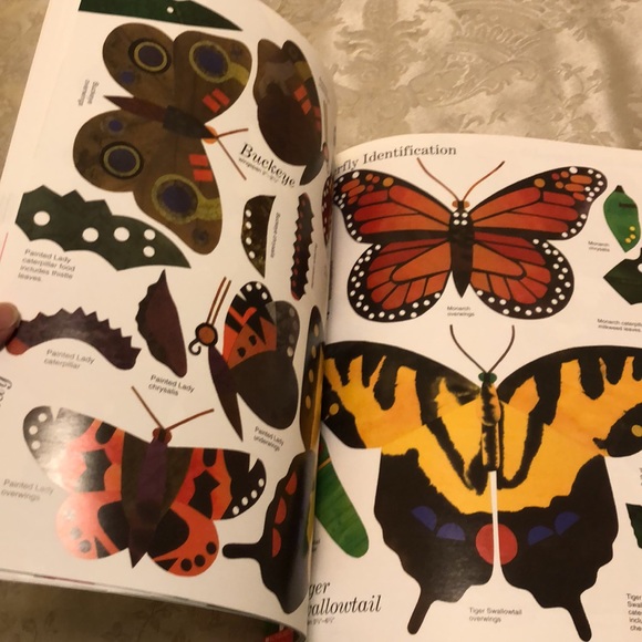 WAITING FOR WINGS-NWOT SCHOLASTIC CHILDREN’S BOOK EDUCATIONAL NON FICTION - #232 - Picture 6 of 8